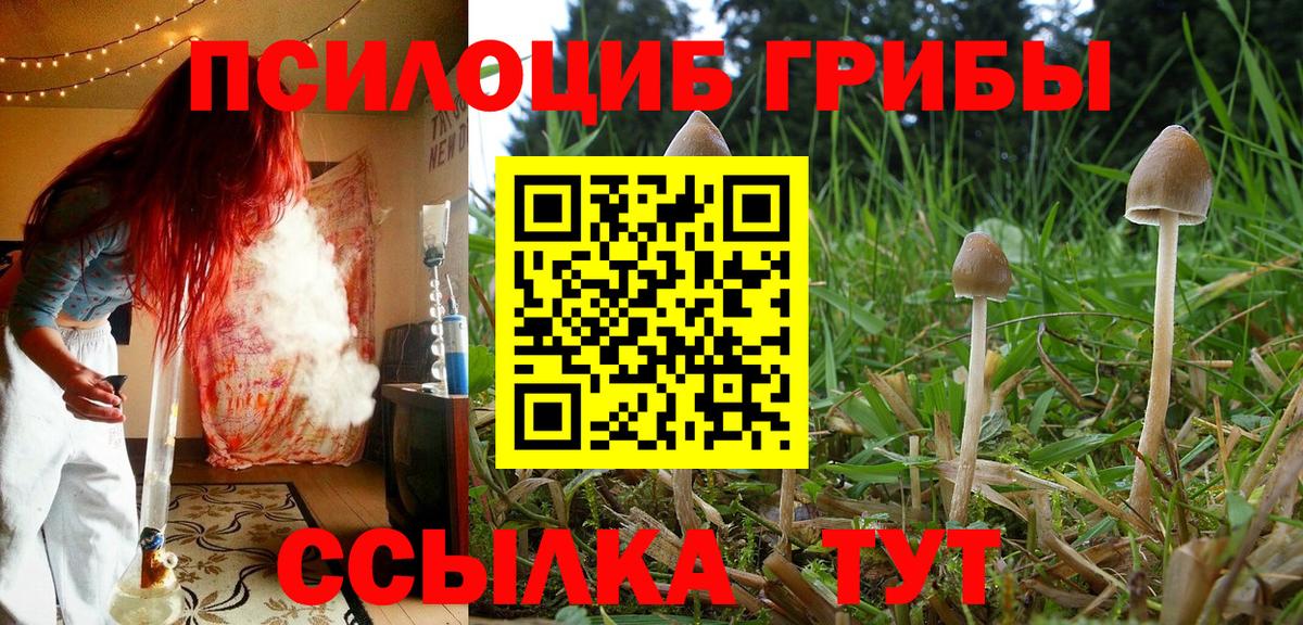 Галлюциногенные грибы GOLDEN TEACHER Буйнакск